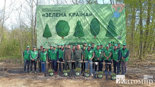 У Житомирській області студенти з лісівниками засадили дубами та соснами 40 сотих лісу. ФОТО