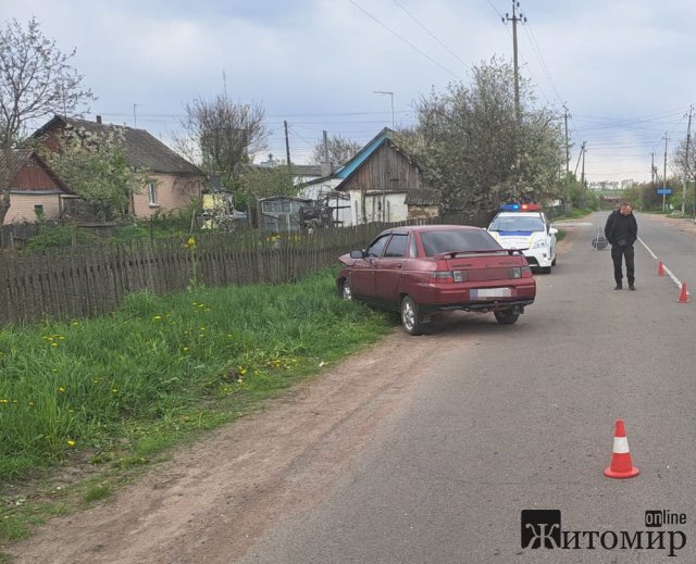 В Андрушівці ВАЗівка врізалася в дерев’яну опору: водія ушпиталили. ФОТО