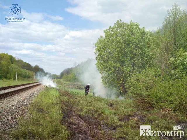 Вздовж залізничної дороги у селі Звягельського району рятувальники гасили займання сухостою. ФОТО