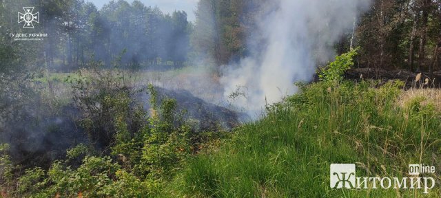 Минулої доби на Житомирщині рятувальники гасили займання сухої трави вздовж автодороги. ФОТО