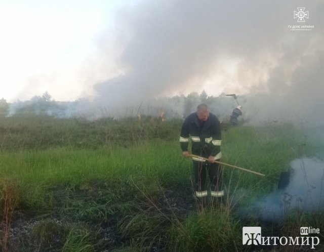 Минулої доби на Житомирщині рятувальники гасили займання сухої трави вздовж автодороги. ФОТО