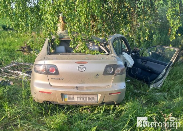 На Житомирщині Nissan та MAZDA врізались у дерева: загинули дві людини. ФОТО