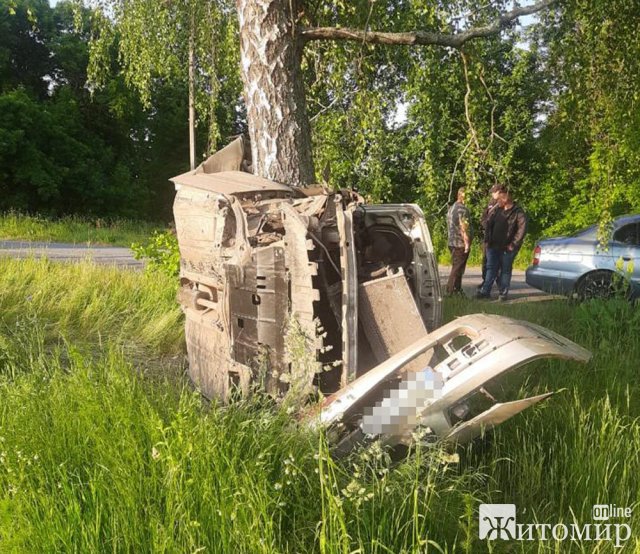 На автодорозі в Житомирській області Renault в’їхав у дерево: загинули двоє людей. ФОТО