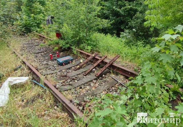 На Андрушівщині затримали двох чоловіків, які розбирали залізничні колії. ФОТО