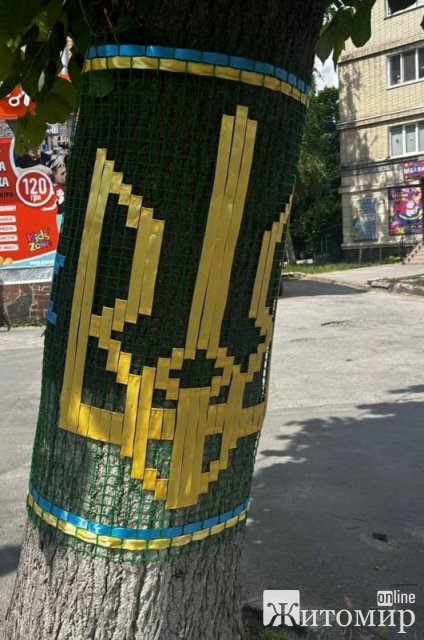 До Дня міста у Звягелі дерева прикрасили вишиванками. ФОТО