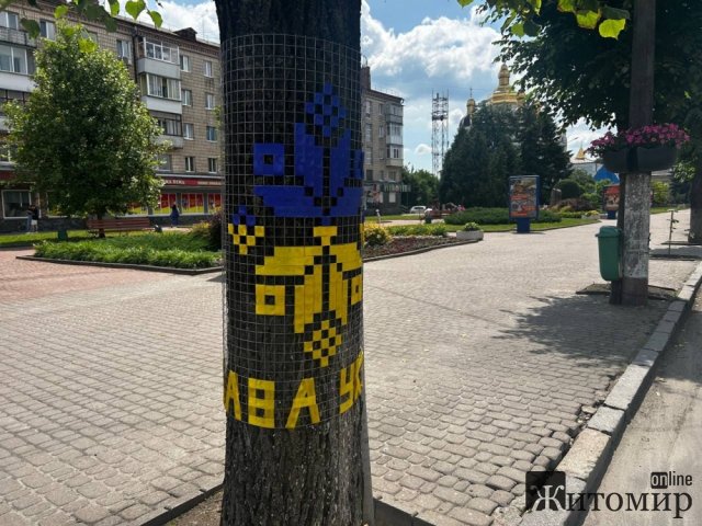 До Дня міста у Звягелі дерева прикрасили вишиванками. ФОТО