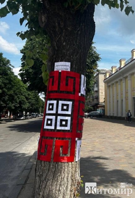 До Дня міста у Звягелі дерева прикрасили вишиванками. ФОТО
