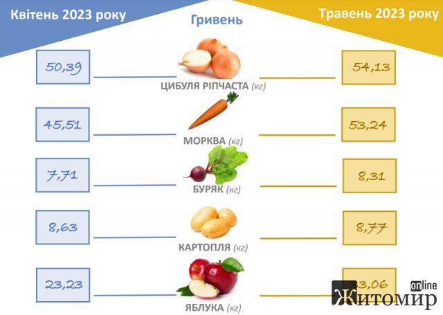 Як змінилися ціни на споживчому ринку в Житомирській області за місяць