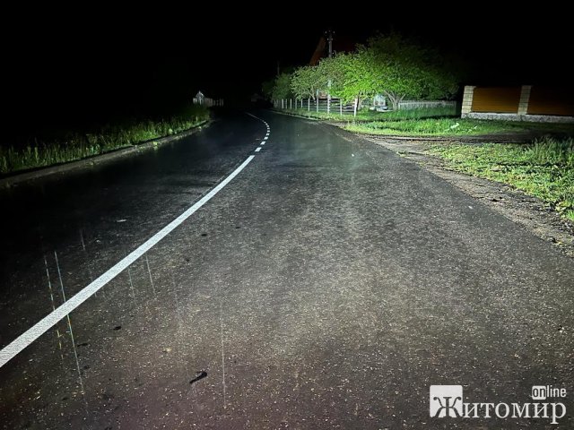 У Львівській області двоє юнаків з Житомирщини потрапили у ДТП: один загинув. ФОТО