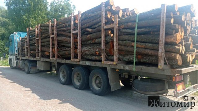 На Звягельщині вантажівка не розминулася з 9-річним велосипедистом: хлопчика госпіталізували. ФОТО