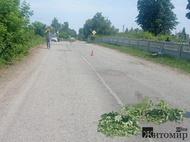 На Звягельщині вантажівка не розминулася з 9-річним велосипедистом: хлопчика госпіталізували. ФОТО