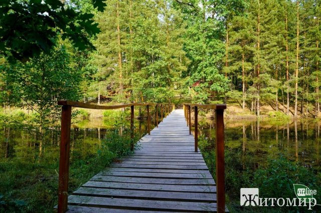 Озеро-кит посеред лісу: незвичайна природна локація на Житомирщині. ФОТО