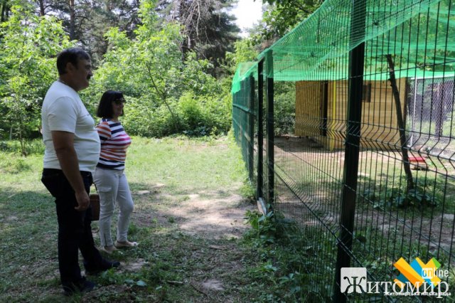 У житомирському гідропарку оселились екзотичні птахи. ФОТО
