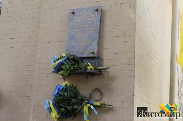 День Конституції України в Житомирі. ФОТО
