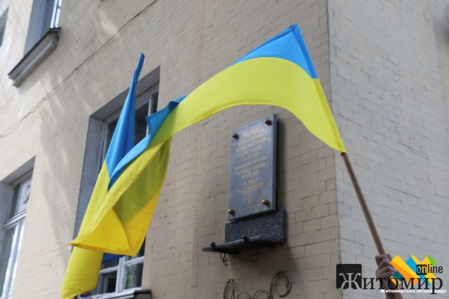 День Конституції України в Житомирі. ФОТО
