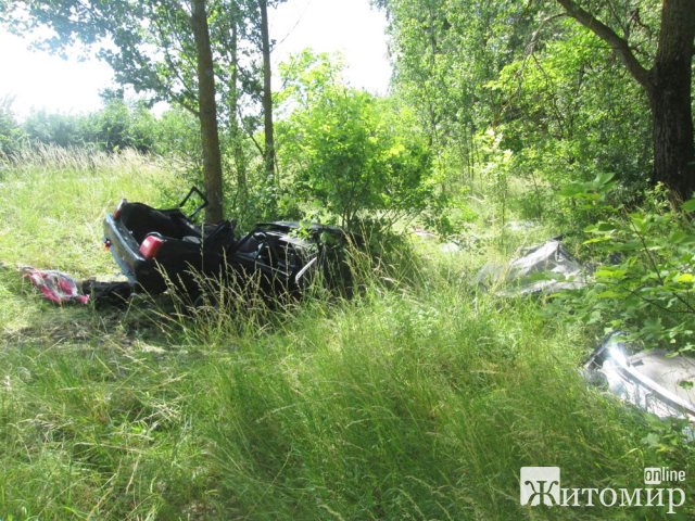 У Житомирській області ЗАЗ з’їхав у кювет і зіткнувся з деревом: загинув житель Вінниччини. ФОТО