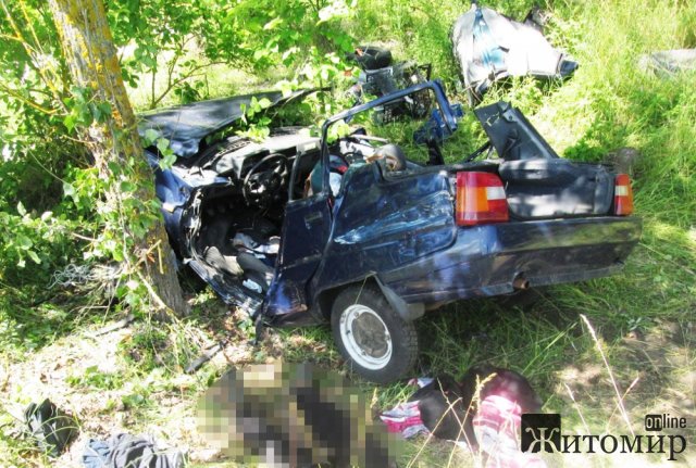 У Житомирській області ЗАЗ з’їхав у кювет і зіткнувся з деревом: загинув житель Вінниччини. ФОТО