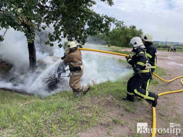 У селі на півночі Житомирщини автівка врізалася в дерево й загорілась. ФОТО