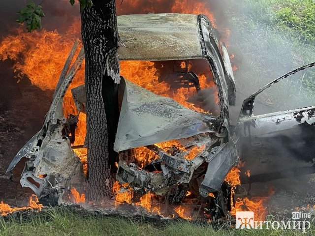 У селі на півночі Житомирщини автівка врізалася в дерево й загорілась. ФОТО