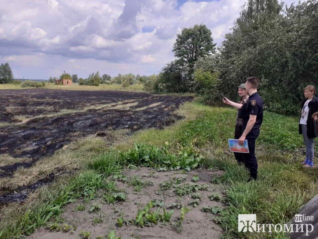 На Коростенщині горіло сухотрав