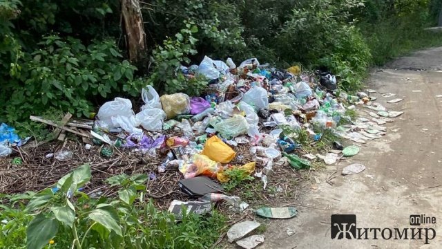 У Житомирі на Соколовському кар