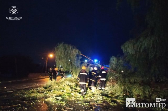 Наслідки негоди на Житомирщині. ФОТО