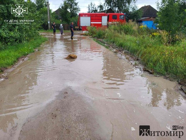 Через рясний дощ рятувальники відкачували воду в декількох домогосподарствах в селі на Овруччині. ФОТО