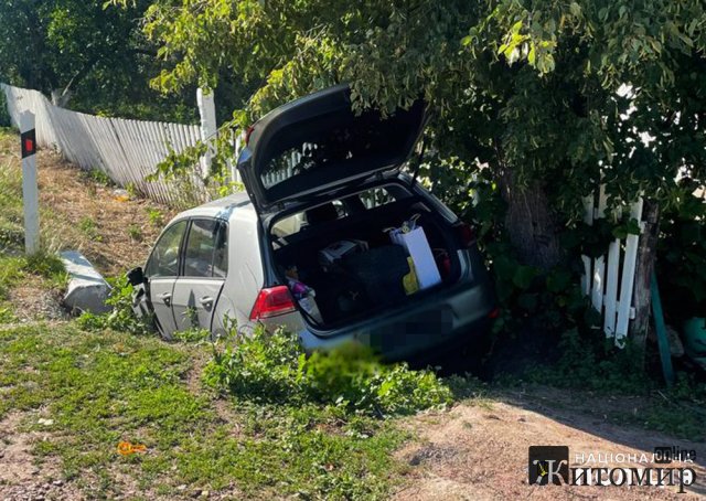 У селі Житомирського району водійка на Volkswagen наїхала на жінку та злетіла в кювет. ФОТО