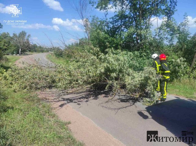 У селі на Житомирщині рятувальники прибирали з дороги дерево, яке перекрило рух транспорту у дві сторони. ФОТО