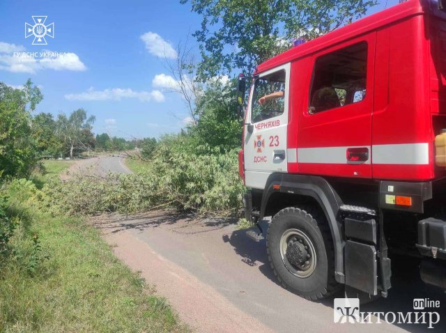 У селі на Житомирщині рятувальники прибирали з дороги дерево, яке перекрило рух транспорту у дві сторони. ФОТО