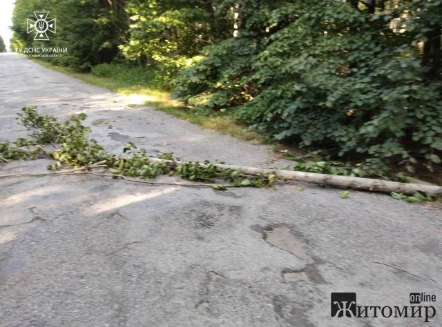 У селі на Житомирщині рятувальники прибирали з дороги дерево, яке перекрило рух транспорту у дві сторони. ФОТО