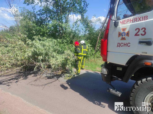 У селі на Житомирщині рятувальники прибирали з дороги дерево, яке перекрило рух транспорту у дві сторони. ФОТО