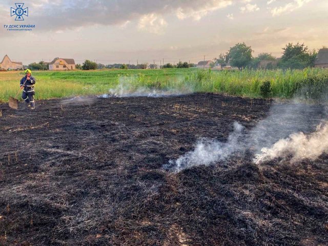 У селі на Бердичівщині рятувальники ліквідовували займання сухої рослинності: господар спалював рештки пшениці. ФОТО