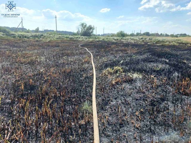 У селі на Бердичівщині рятувальники ліквідовували займання сухої рослинності: господар спалював рештки пшениці. ФОТО