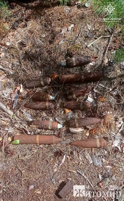 У лісі Радомишльської громади грибник натрапив на артснаряди. ФОТО