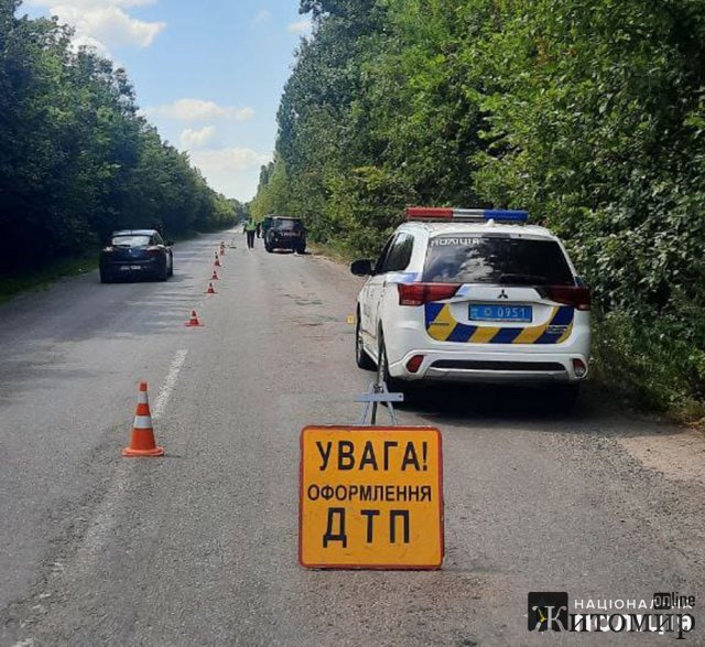 На Бердичівщині під колеса авто потрапила 12-річна велосипедистка. ФОТО