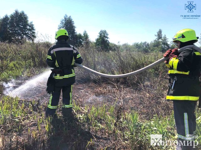 У селі на Малинщині горів сухостій, а на території Ружинської громади - торф. ФОТО