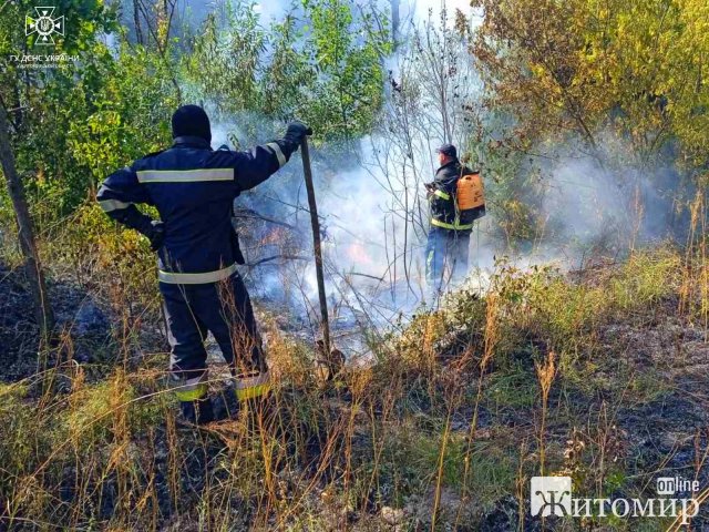 У селі на Малинщині горів сухостій, а на території Ружинської громади - торф. ФОТО