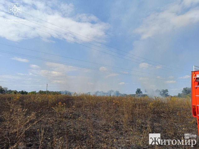 У селі поблизу Житомира вогонь з ями зі сміттям перекинувся на сухостій. ФОТО