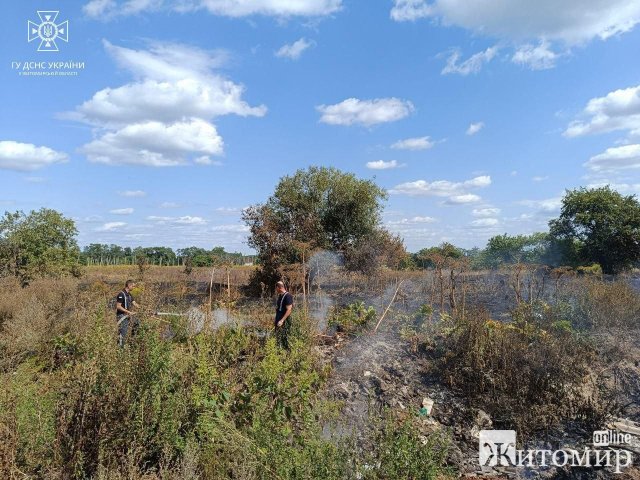 У селі поблизу Житомира вогонь з ями зі сміттям перекинувся на сухостій. ФОТО