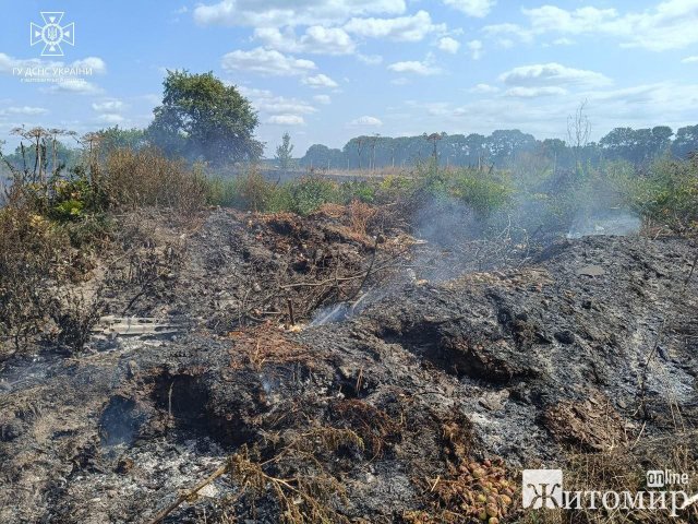 У селі поблизу Житомира вогонь з ями зі сміттям перекинувся на сухостій. ФОТО