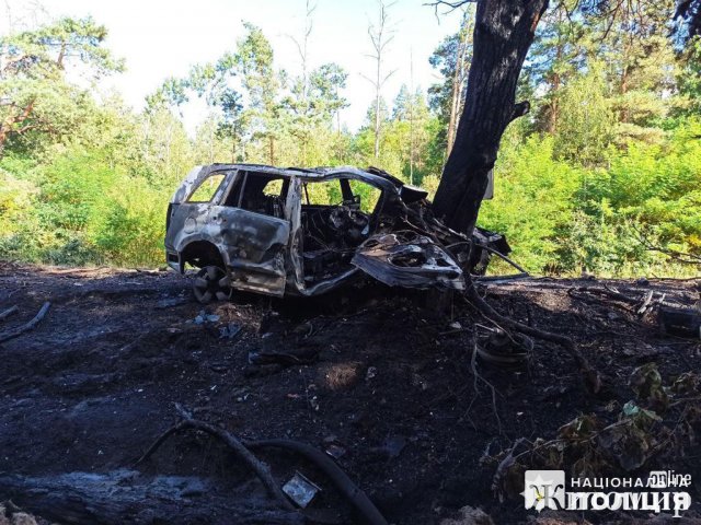 Неподалік Житомира водійка на Suzuki врізалась в дерево: жінку госпіталізували. ФОТО