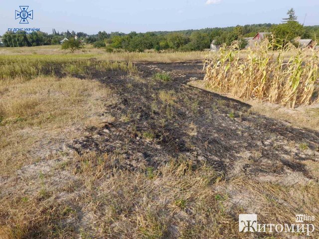 За добу на Житомирщині під час гасіння загорянь сухої трави опіки отримали бабуся та чоловік. ФОТО