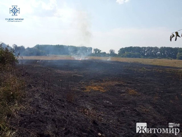 За добу на Житомирщині під час гасіння загорянь сухої трави опіки отримали бабуся та чоловік. ФОТО