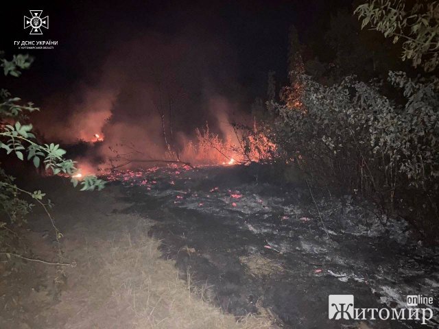 За добу на Житомирщині під час гасіння загорянь сухої трави опіки отримали бабуся та чоловік. ФОТО