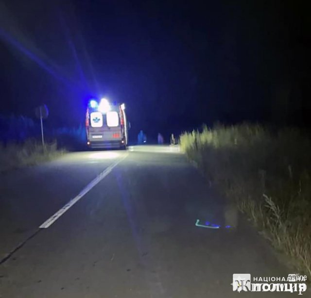 На Звягельщині затримали п'яного водія, який збив двох велосипедистів і втік. ФОТО