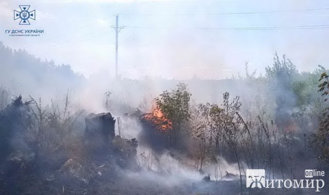 За добу на Житомирщині ліквідували 8 пожеж сухої трави: двічі сухостій горів на вулицях Бердичева