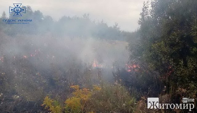 За добу на Житомирщині ліквідували 8 пожеж сухої трави: двічі сухостій горів на вулицях Бердичева