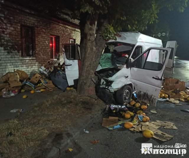 Вночі на перехресті в Житомирі вантажний фургон врізався у Ford, а потім в дерево: є загиблий. ФОТО