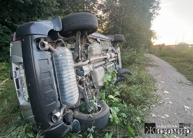 На трасі Київ-Чоп у Житомирському районі маріуполець перекинувся на Hyundai. ФОТО